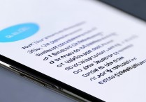 vivo y28l怎么获取权限