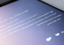 vivo的vivoice怎么打开