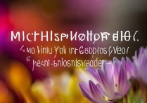 vivo手机怎么拍微距?新手必学的微距拍摄技巧有哪些?