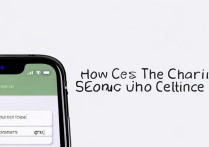 苹果手机充电声音怎么设置吗