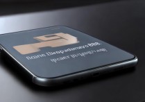 小米12首发骁龙898，具体发布时间是什么时候？