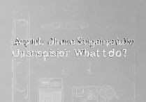 苹果手机突然按不动了怎么办