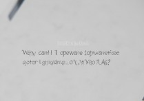 vivox5升级后软件打不开怎么回事？解决方法大全