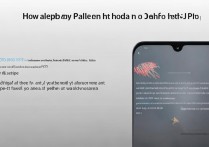 Redmi Note 11T Pro怎么设置壁纸？自定义步骤有哪些？