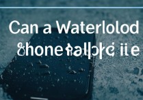苹果手机泡水后不开机还能修吗？