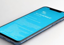 vivoy22l具体怎么运行？新手操作步骤详解。