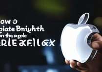 苹果手电筒怎么亮度调