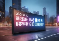 小米是世界500强吗