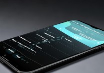 VIVOX20系统升级后体验变好了吗？续航流畅度有提升吗？