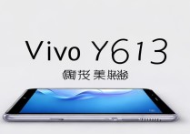 vivoy613手机怎么样