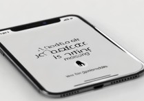 苹果手机通讯录图标没了怎么办