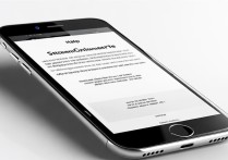 苹果6s怎么不能截屏