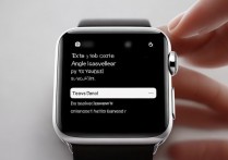 苹果手表盲人模式怎么输入密码？盲人模式输密码步骤
