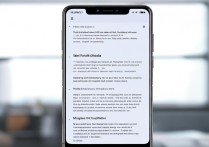 华为手机全屏怎么设置？方法步骤详解，轻松搞定全屏显示！