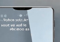 vivo怎么设置才能快速抓拍瞬间？