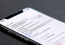 苹果手机DNS怎么设置才能上网？