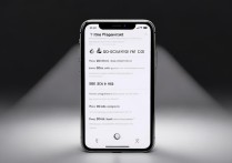 苹果电话闪光灯怎么设置方法