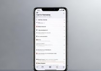 苹果6s呼叫转移怎么设置