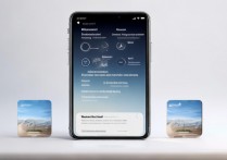 苹果怎么连接无线网络？新手操作步骤详解。