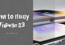 vivox23怎么购买？vivox23现在哪里还能买到