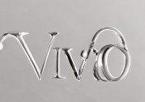 vivo字体大小设置