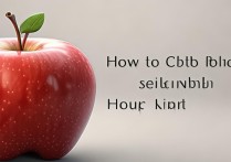 苹果怎么查电池序列号查询