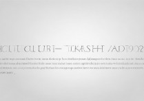 vivoy97手机刷机详细步骤与注意事项是什么？