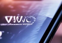 vivo 录屏软件