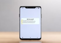 vivo手机怎么允许方式