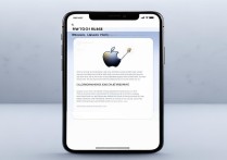 苹果手机越狱后如何通过插件下载第三方软件？