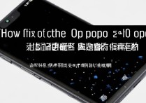 oppo怎么花屏