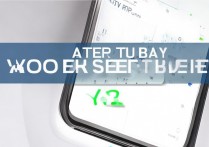 vivoy13怎么格机，vivoy13强制恢复出厂设置方法