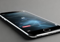 苹果6s按软件音怎么调