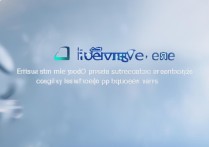 vivo分期付款查询