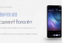 vivox9plus怎么连拍呀，vivox9plus连拍功能在哪里设置