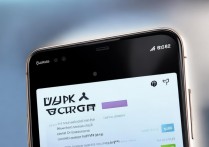 vivox5pro电池使用情况怎么看？vivox5pro耗电快怎么解决