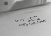 vivot1x电池容量与充电速率分别是多少？