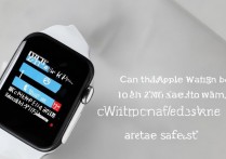 AppleWatch 可以用 20W 充电器吗？AppleWatch 怎么充电最快最安全？