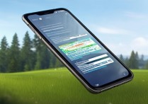 vivoy67怎么进入主题，vivoy67主题商店在哪里打开