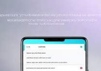 vivo 手机怎么设置字体大小？
