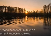 oppo日落照怎么拍才能拍出氛围感大片？