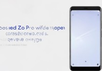 iqoo z5 Pro支持无线充电吗？能反向充电吗？