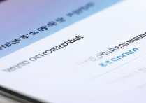 支付宝备用金开通入口在哪？新手找不到怎么办？