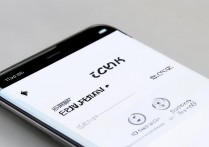 vivo855怎么开密码，vivo手机忘记锁屏密码怎么办