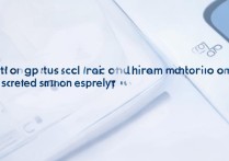 oppo火萤视频怎么设置锁屏？教程步骤详解来了