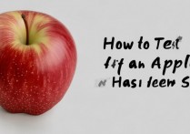 苹果怎么看是否拆机？如何判断苹果手机被拆过