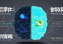 微信测左右脑都住着谁？入口在哪怎么找？