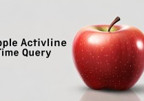 apple激活时间查询