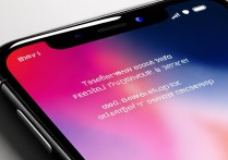 苹果xsmaxid密码忘记了怎么找回