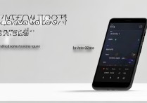 vivo X6专业拍照怎么用？参数设置与技巧指南